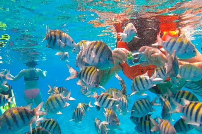 Phi Phi Half Day Tour Speed Boat Tour - Key Points