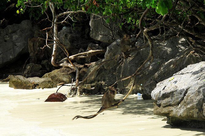 Phi Phi Island by Premium Speedboat with Lunch from Phuket - Final Thoughts