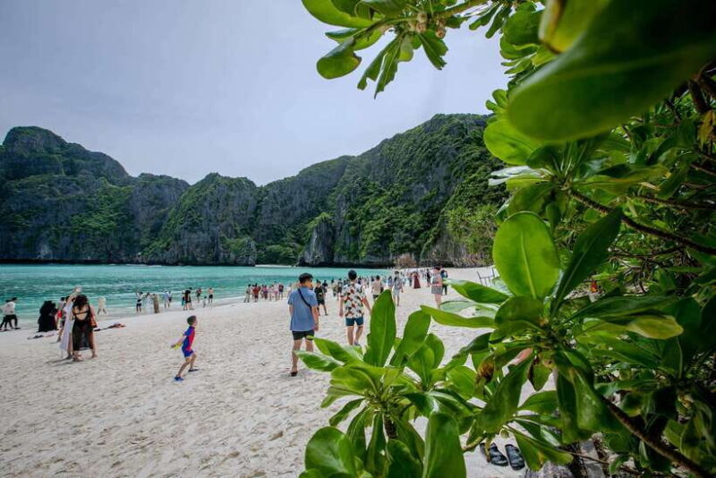 Phi Phi Island: Maya bay Sunset & Plankton by Speedboat - FAQ
