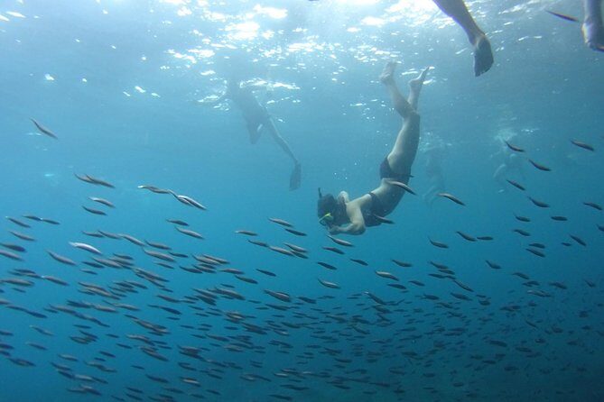 PHI PHI ISLAND - Sunrise Trip From Phi Phi Don By Phi Phi Local Tour - Final Thoughts