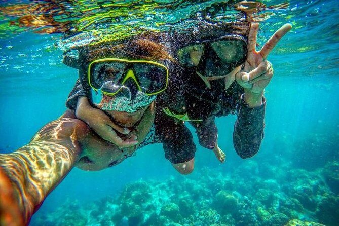 Phi Phi Islands Premium Day Trip Speedboat with Seaview Lunch by ALP Tour - The Pros and Cons: What You Should Know