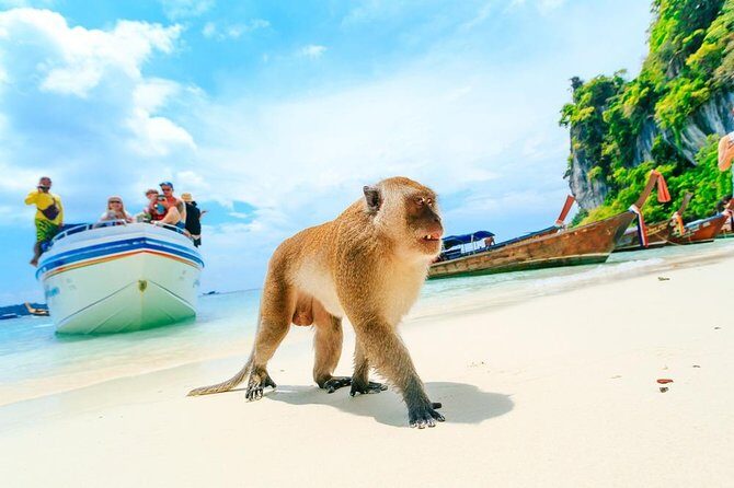 Phi Phi , Khai & Maya : Unforgettable Island Hopping by Speedboat - FAQ