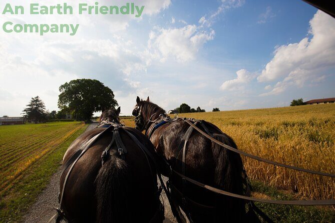 Philadelphia and Amish Country, 1-Day Tour from NYC - A Closer Look at the Itinerary