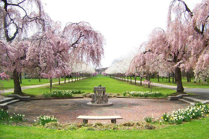 Philadelphia Cherry Blossom 1-Day Tour from New York - Key Points