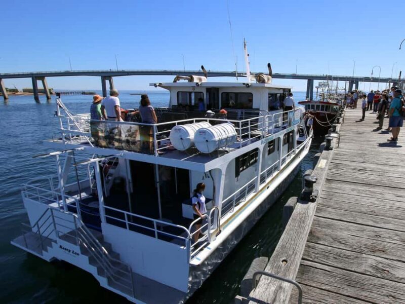 Philip Island: Dolphin and Whale Cruise - Key Points
