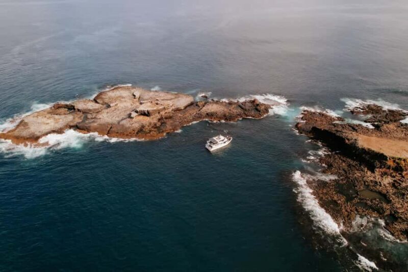 Philip Island: Seal Watching Cruise - Who Will Enjoy This Experience?