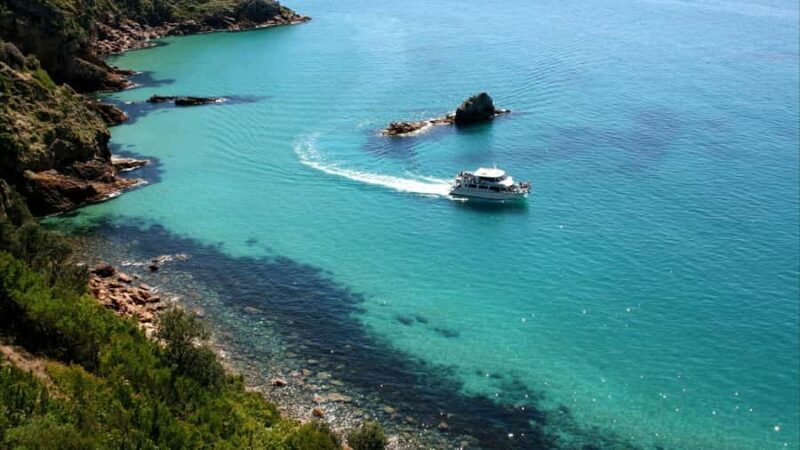 Phillip Island: 1-Hour Cape Woolamai Scenic Cruise - Why Consider This Cruise?