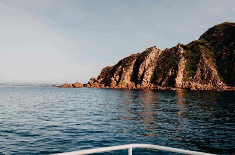 Phillip Island: 1-Hour Cape Woolamai Scenic Cruise - Examining the Value