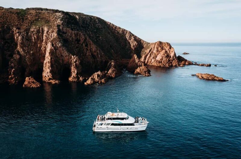 Phillip Island: 1-Hour Cape Woolamai Scenic Cruise - Who Is This Tour Best For?