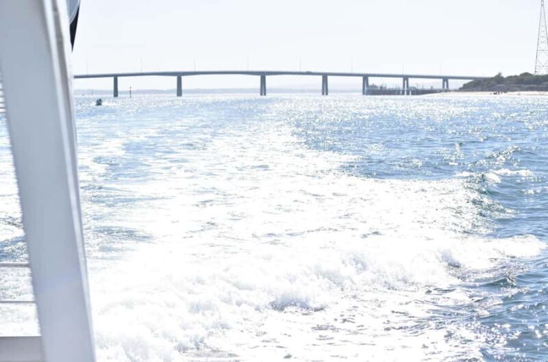 Phillip Island: 1-Hour Cape Woolamai Scenic Cruise - The Sum Up: The Perfect Balance of Scenery and Wildlife