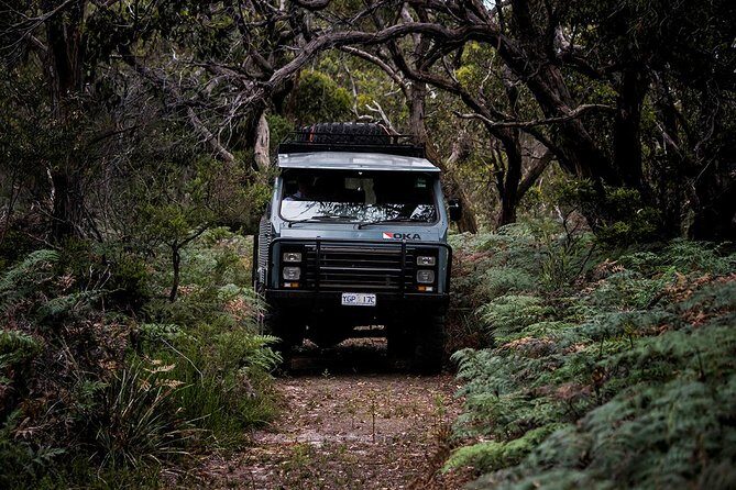Phillip Island and French Island Wildlife Expedition - The Sum Up