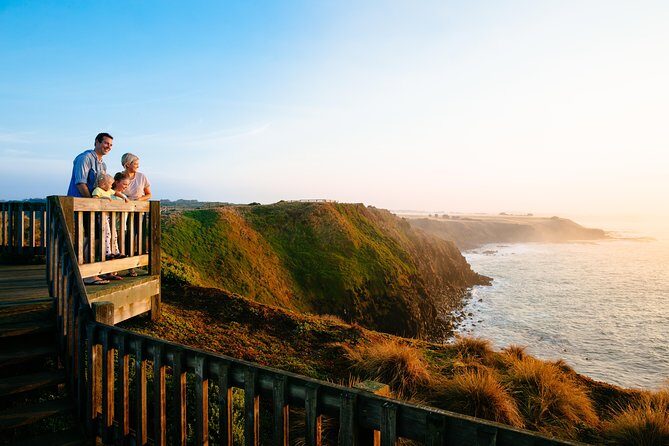 Phillip Island Day Trip from Melbourne with Penguin Plus Viewing Platform - Introduction: What to Expect from This Phillip Island Tour