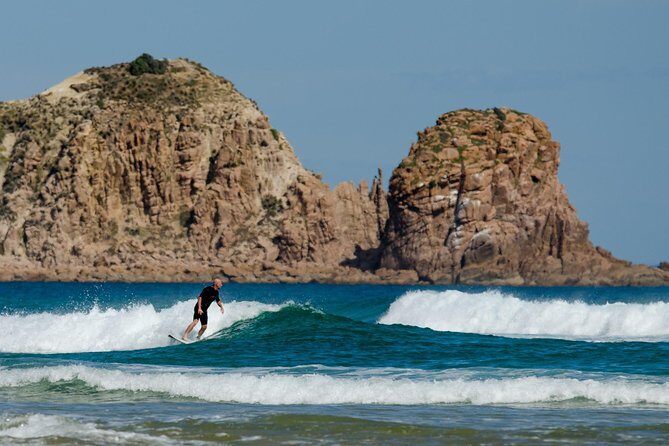 Phillip Island Day Trip from Melbourne with Penguin Plus Viewing Platform - Value for Money: Does It Stack Up?