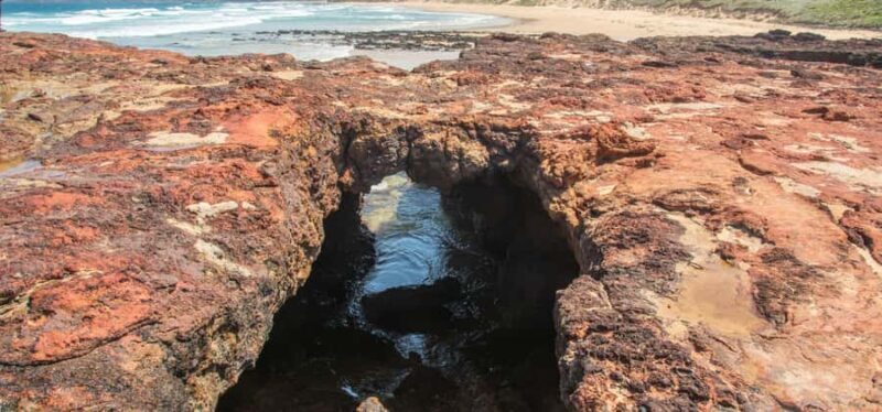 Phillip Island Driving Tour with an APP - FAQ