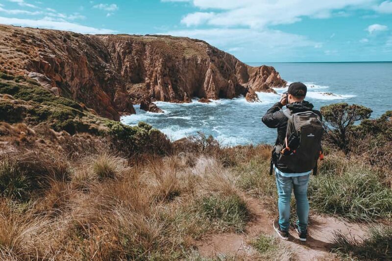 Phillip Island: Hike and Penguin Parade - 8 pax Small Tour - FAQs