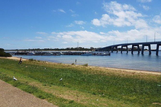 Phillip Island Penguin and wildlife Tour - FAQ