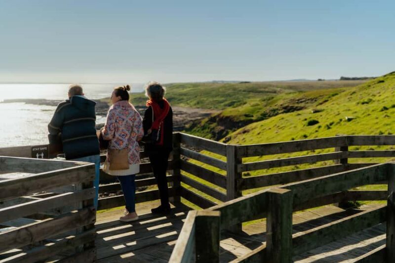 Phillip Island Penguin Direct Sunset Tour - Key Points