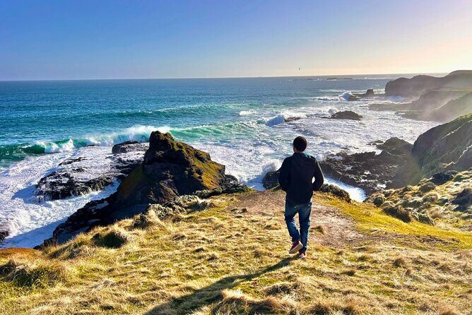 Phillip Island & Penguin Parade Afternoon Eco Tour from Melbourne - Key Points