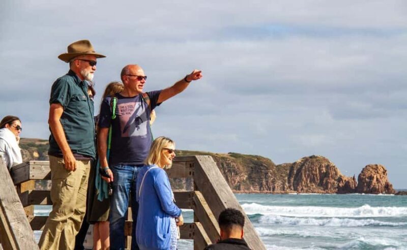 Phillip Island Penguin Parade Afternoon Tour from Melbourne - Who Will Love This Tour?