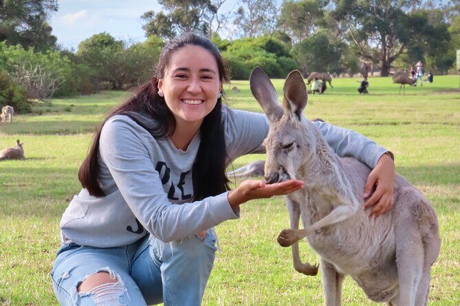 Phillip Island Penguin Parade and Wildlife Tour from Melbourne - Why the Tour Stands Out