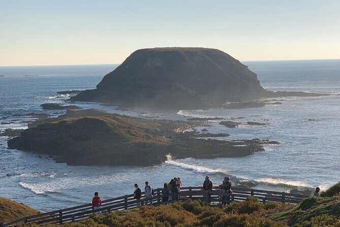 Phillip Island Penguin Parade and Wildlife Tour from Melbourne - Final Thoughts