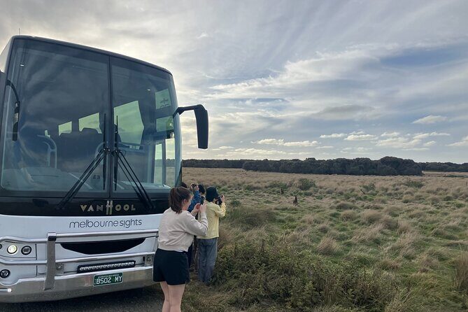 Phillip Island Penguin Parade Express Tour from Melbourne - The Sum Up