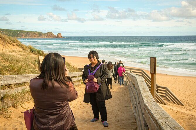 Phillip Island Penguin Parade Express Tour from Melbourne - Introduction