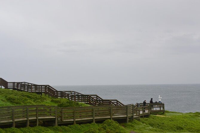 Phillip Island Penguin Parade Private Tour - Who Is This Tour Best For?