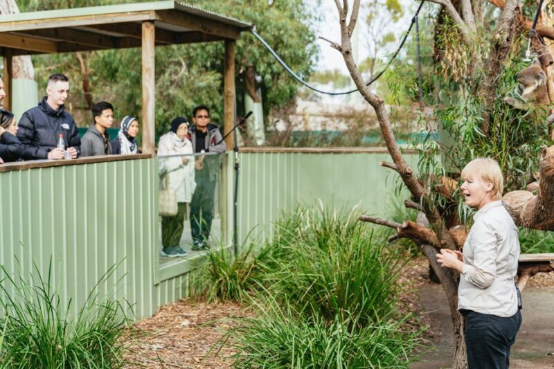 Phillip Island Penguin Parade with Expert Local Guide - Who Should Consider This Tour?
