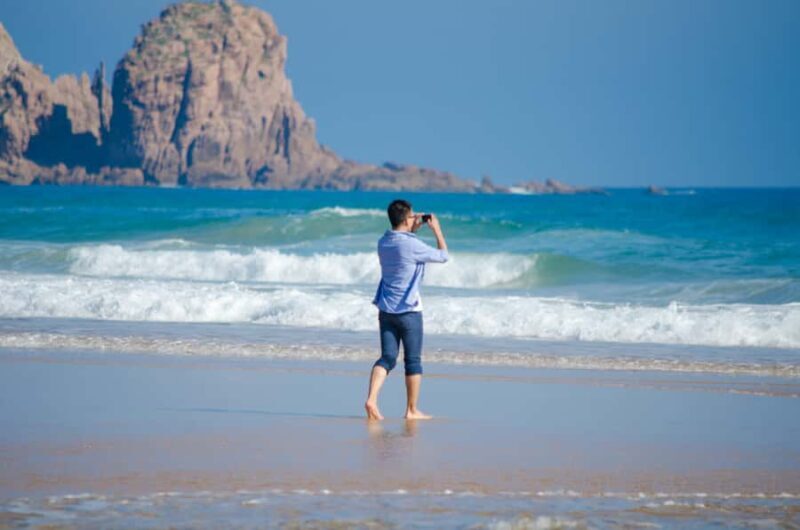 Phillip Island: Penguins and Wildlife Full-Day Tour - The Cost and Value