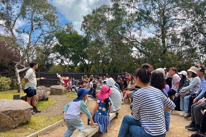 Phillip Island Penguins & Wildlife Day Tour from Melbourne - Practical Tips for Maximizing Your Experience