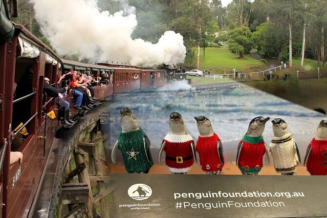 Phillip Island Penguins & Wildlife Day Tour from Melbourne - Who Will Enjoy This Tour?