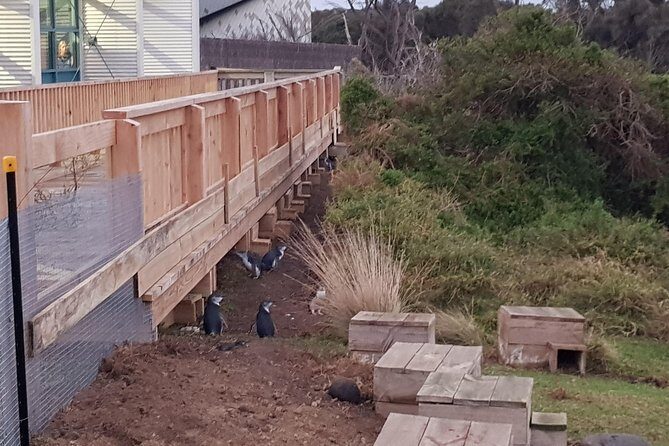 Phillip Island Private Experience - Dining and Additional Experiences