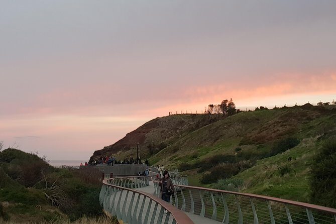 Phillip Island Private Experience - What Do You Get for Your Money?