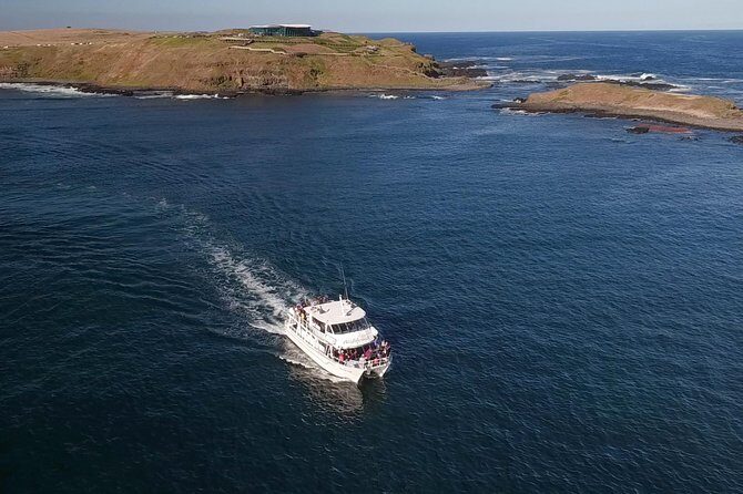 Phillip Island Seal-Watching Cruise - The Experience in Detail