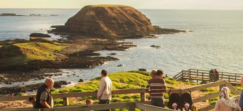 Phillip Island Wildlife & Brighton Beach Boxes Private Tour - Cost and Value