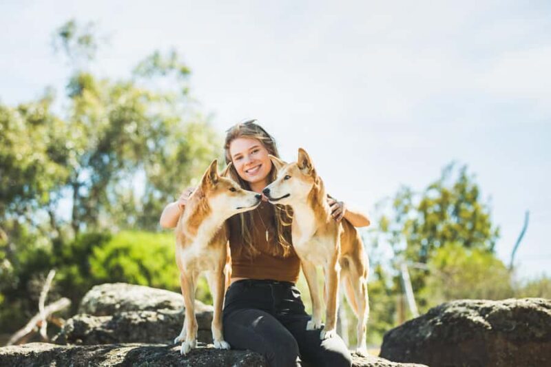 Phillip Island Wildlife & Brighton Beach Boxes Private Tour - Frequently Asked Questions