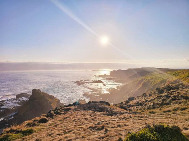 Phillip Island: Wine, Wildlife & Penguins with Gourmet Feast - FAQ