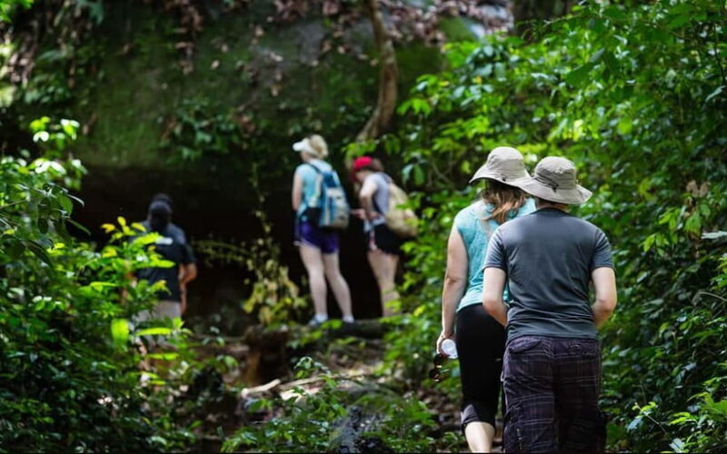 Phnom Kulen Waterfall & the Sacred 1000 Lingas (with Lunch) - What Sets This Tour Apart