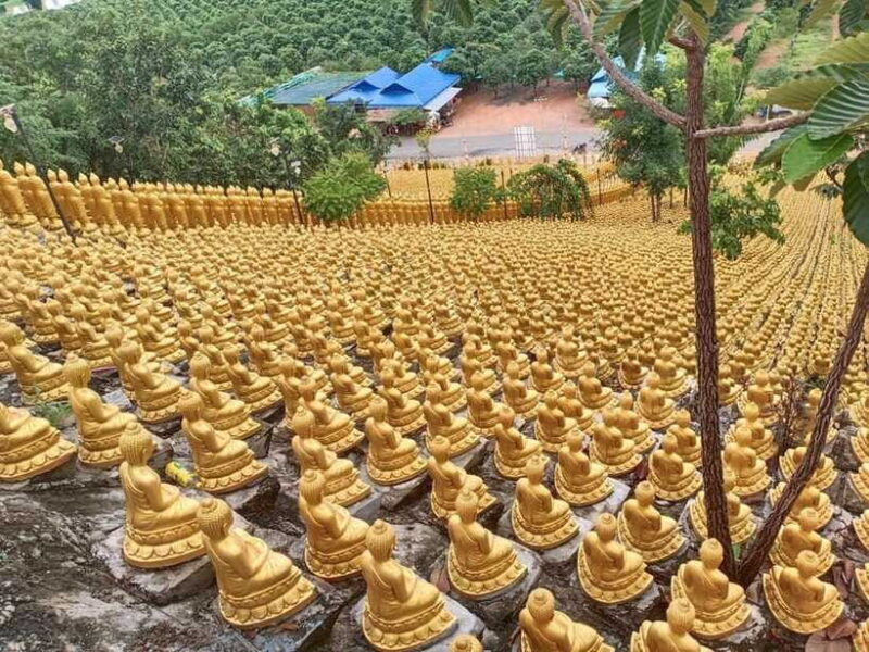 Phnom Penh: Buddha Kiri and Phnom Tamao Zoo Private Day Trip - Transportation and Practical Details