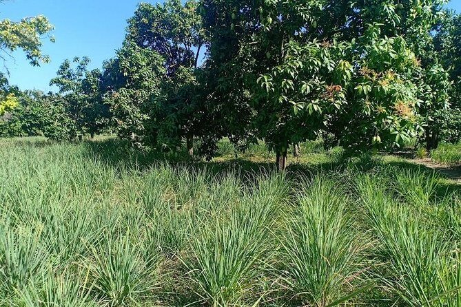 Phnom Penh Countryside Cycle Tour - FAQ