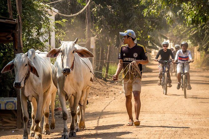 Phnom Penh: Cycling Adventure on Islands of the Mekong - In-Depth Review of the Tour Experience