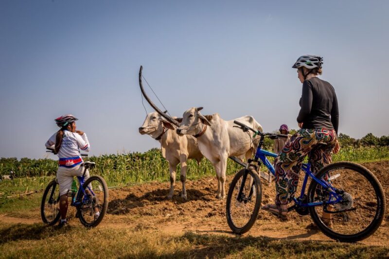 Phnom Penh: Mekong Islands & Silk Islands Guided Bike Tour - Final Thoughts