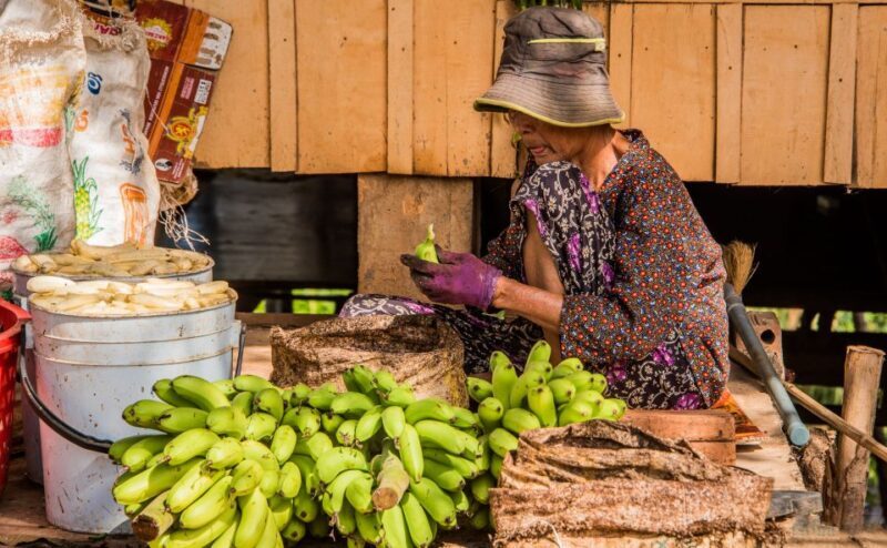 Phnom Penh: Phnom Oudong & Koh Chen Village - Lunch include - The Sum Up
