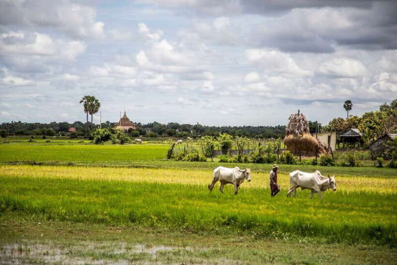 Phnom Penh: Phnom Oudong & Koh Chen Village - Lunch include - FAQ