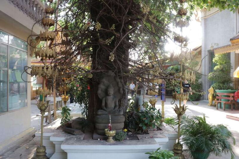 Phnom Penh Private Tour English Local Guide - FAQ
