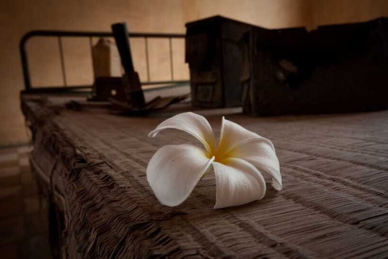 Phnom Penh private tour Tuol Sleng & Choeng Ek Killing Field - Practical Tips for Travelers