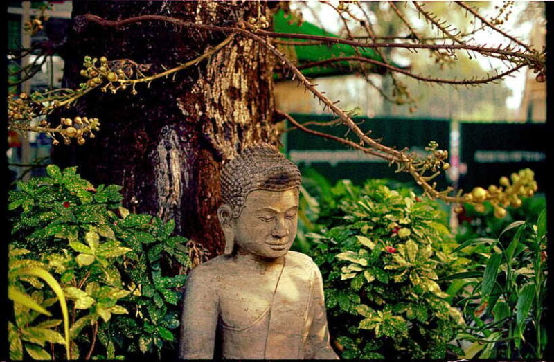 Phnom Penh: Private Walking Tour with a Local - Insights from Reviews