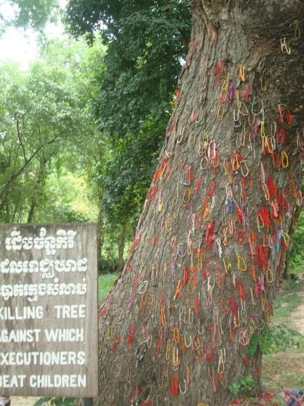 Phnom Penh: S-21 Prison and Killing Fields Half-Day Tour - Who This Tour is Perfect For