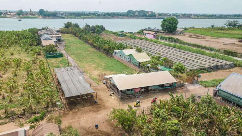 Phnom Penh: Silk Island Tour by Vespa - Analyzing the experience: pros and cons